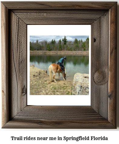 trail rides near me in Springfield, Florida